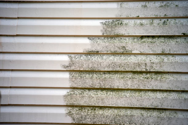 Best Storm Damage Siding Repair  in Chapman, KS